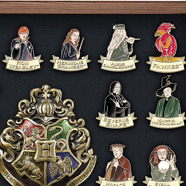HARRY POTTER Ultimate Hand-Enameled 24K Gold-Plated Pin Collection With A  Glass-Covered Wooden Display